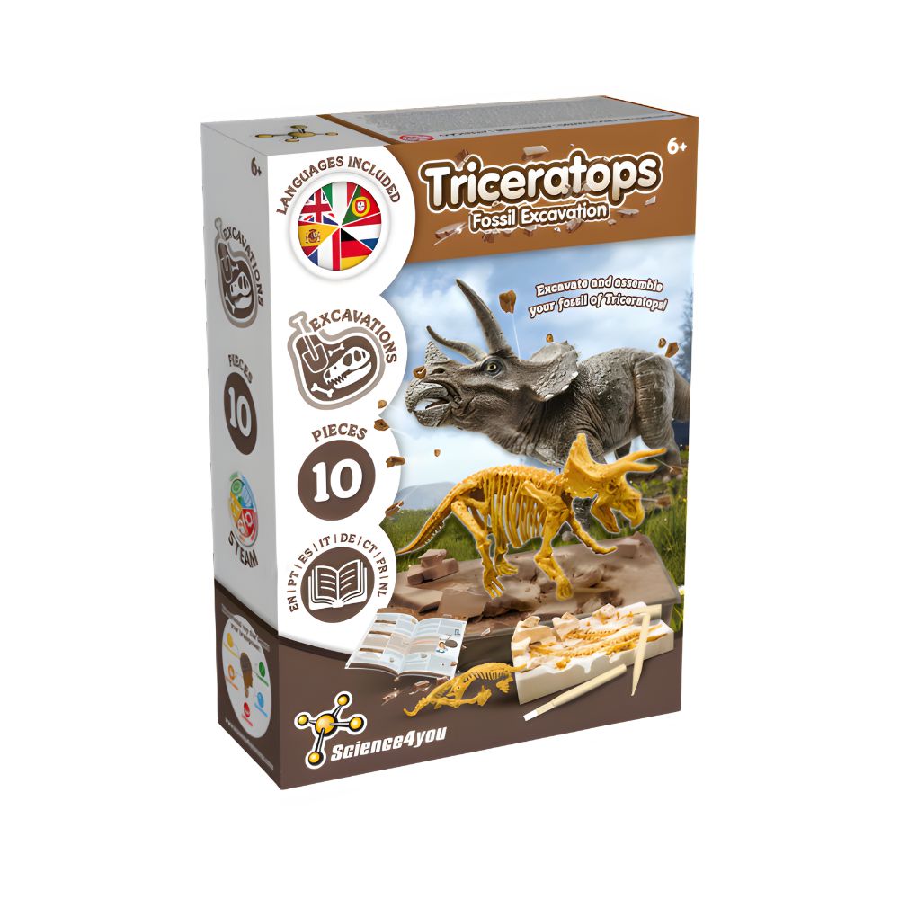 Triceratops Fossil Excavation (x6) - Dinosaur Toy