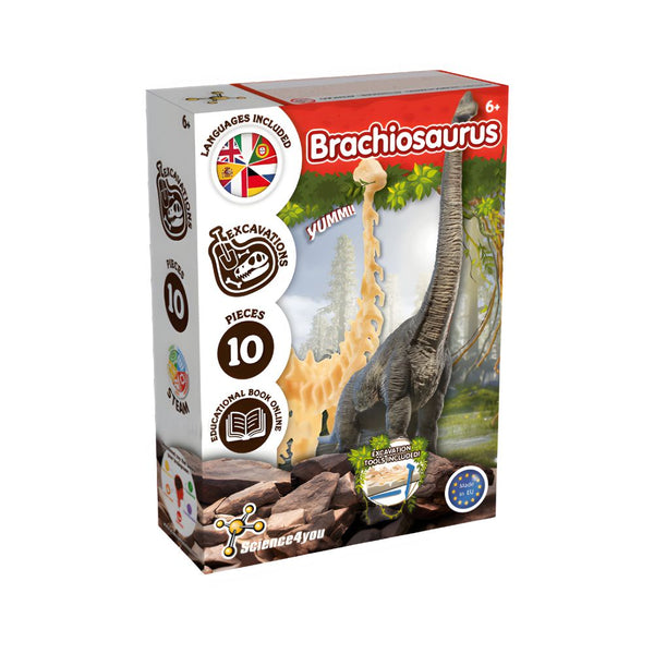 Brachiosaurus Fossil Excavation (x6) - Dinosaur Toy