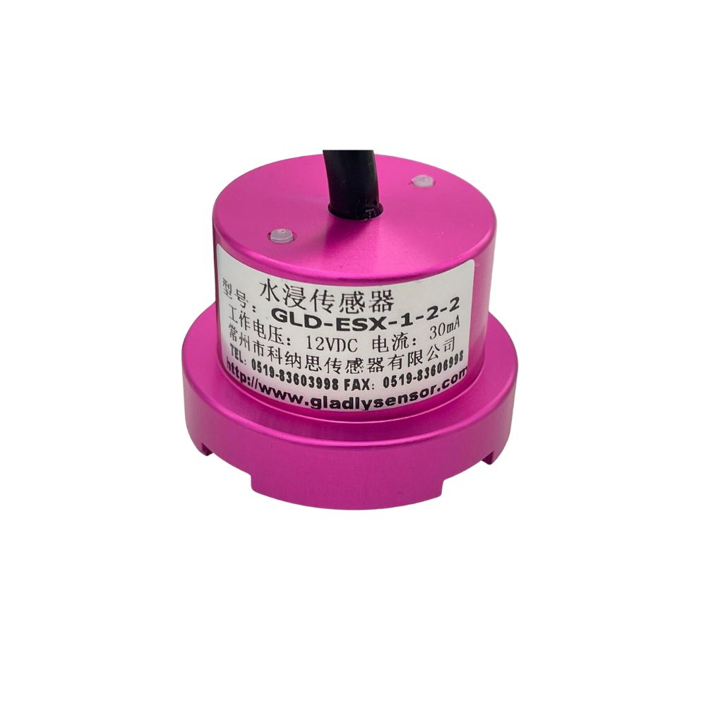 P128-572-000 Water sensor
