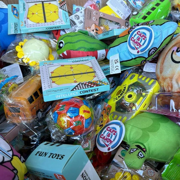 £1 Prize Every Time Plush and Toy Assortment Mix (x400)