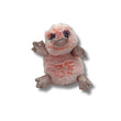 TY Beanie Pink  Duckbill Platypus Plush