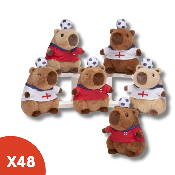  cute cabybara in an England shirt. 