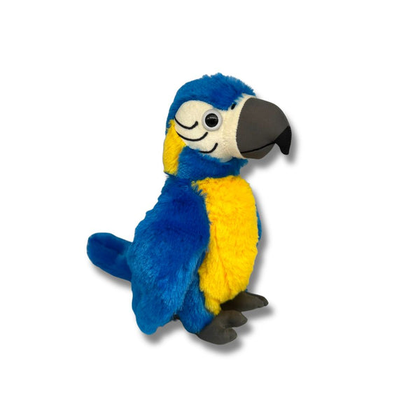 Quality Blue Throated Macaw