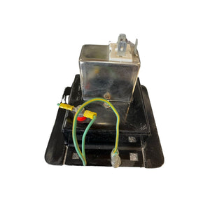 Tommy Bear Mains Filter