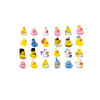 Printed Novelty Ducks Mix AVR003 - 24 Assorted Ducks (x 432)