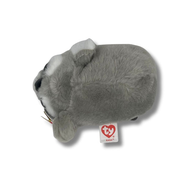 Ty Koala Plush Toy (x24) Ty Brand