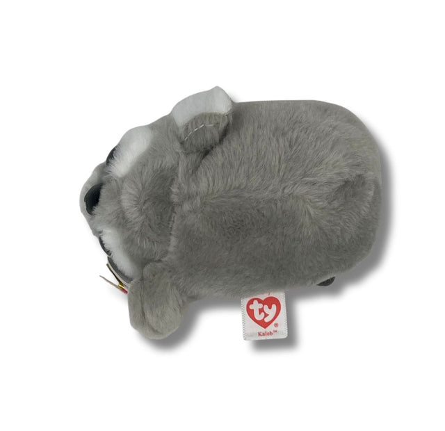 Ty Koala Plush Toy (x24) Ty Brand