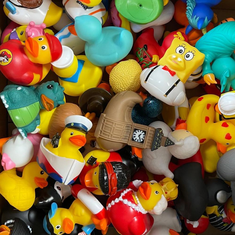 Large 3.5 inch Printed Novelty Ducks - Assorted Designs (x50)