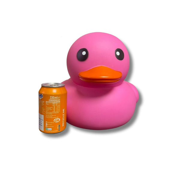 Massive 13 inch Printed Novelty Duck in Pink and Blue (x4)