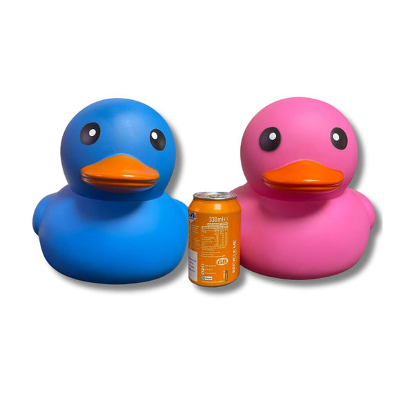 Massive 13 inch Printed Novelty Duck in Pink and Blue (x4)