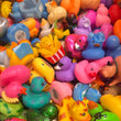 Printed Novelty Ducks Mix AVR004 - 400  Duck Designs (x400)